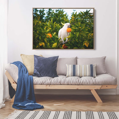 The Cockatoo in the Oranges - Australian Landscape Artwork (Copy) I Heart Wall Art Australia