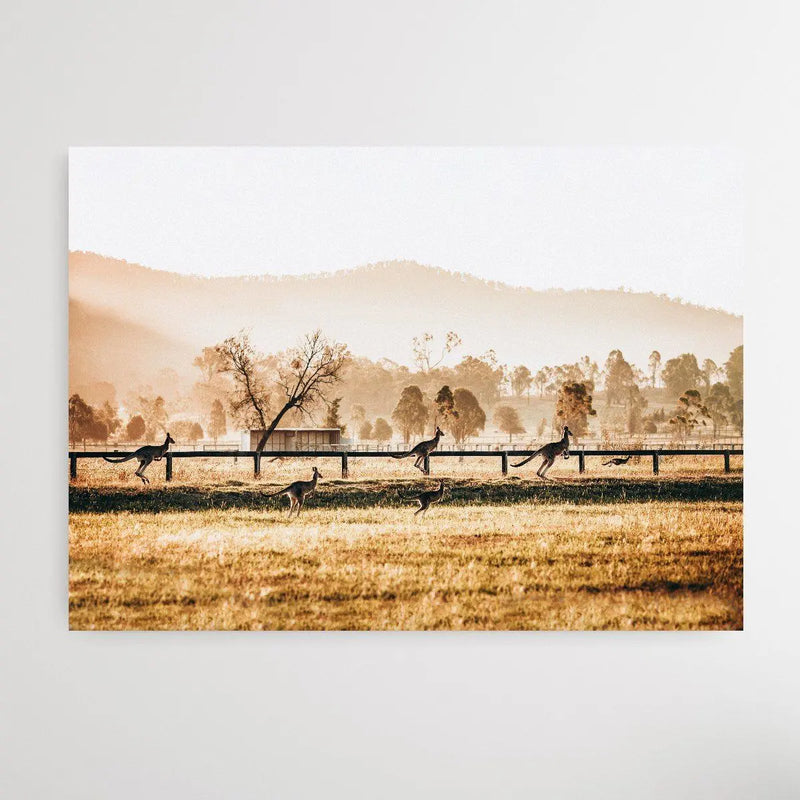 The Home Stretch - Kangaroo Paddock Photographic Art Print I Heart Wall Art Australia