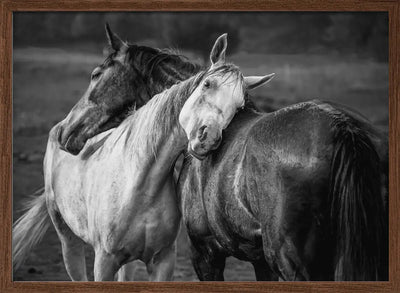 Warm rain - Stretched Canvas, Poster or Fine Art Print I Heart Wall Art