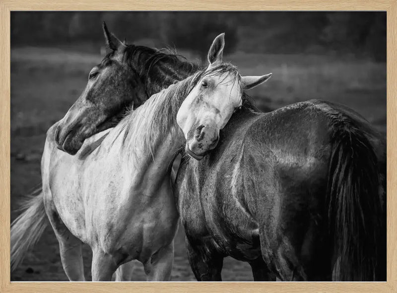 Warm rain - Stretched Canvas, Poster or Fine Art Print I Heart Wall Art