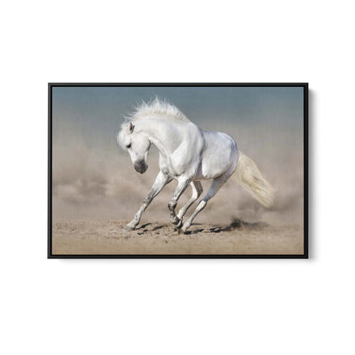 White Horse in White Background - Australian Landscape Artwork I Heart Wall Art Australia