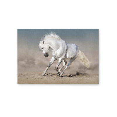 White Horse in White Background - Australian Landscape Artwork I Heart Wall Art Australia