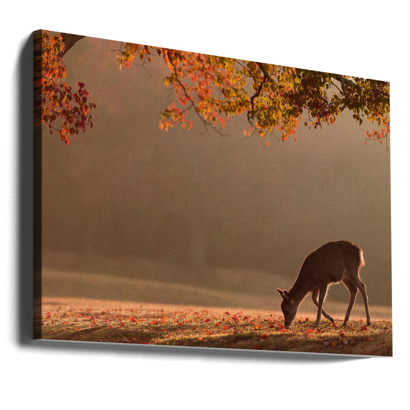 First Autumn - Stretched Canvas, Poster or Fine Art Print I Heart Wall Art