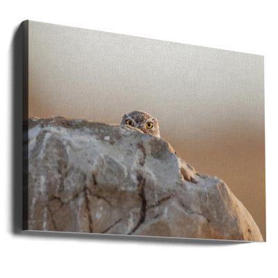 little owl - Stretched Canvas, Poster or Fine Art Print I Heart Wall Art