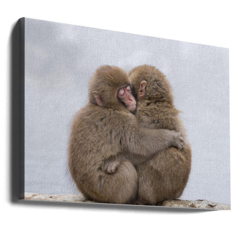 Forever Friends - Stretched Canvas, Poster or Fine Art Print I Heart Wall Art