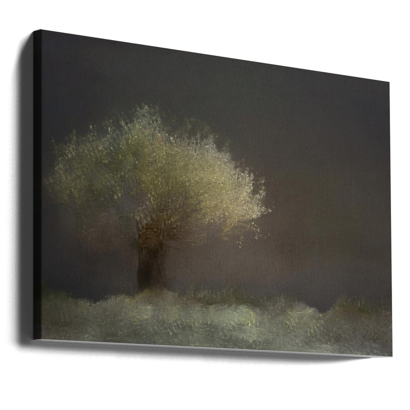 Willow - Stretched Canvas, Poster or Fine Art Print I Heart Wall Art