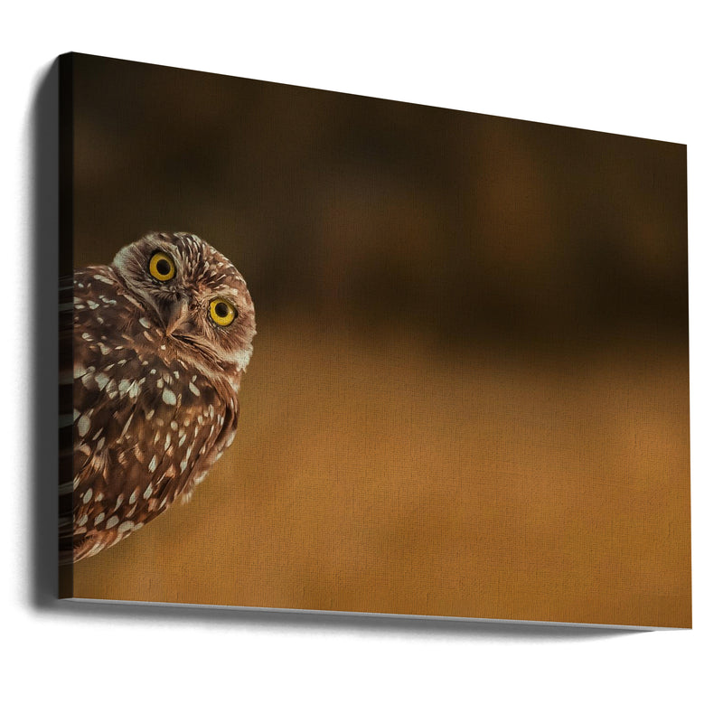 Hi there! - Stretched Canvas, Poster or Fine Art Print I Heart Wall Art