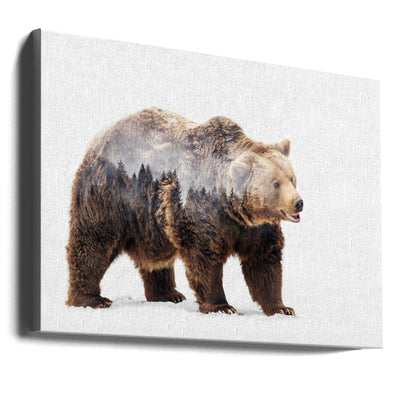 Bear - Stretched Canvas, Poster or Fine Art Print I Heart Wall Art