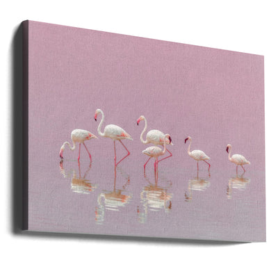 Flamingos - Stretched Canvas, Poster or Fine Art Print I Heart Wall Art