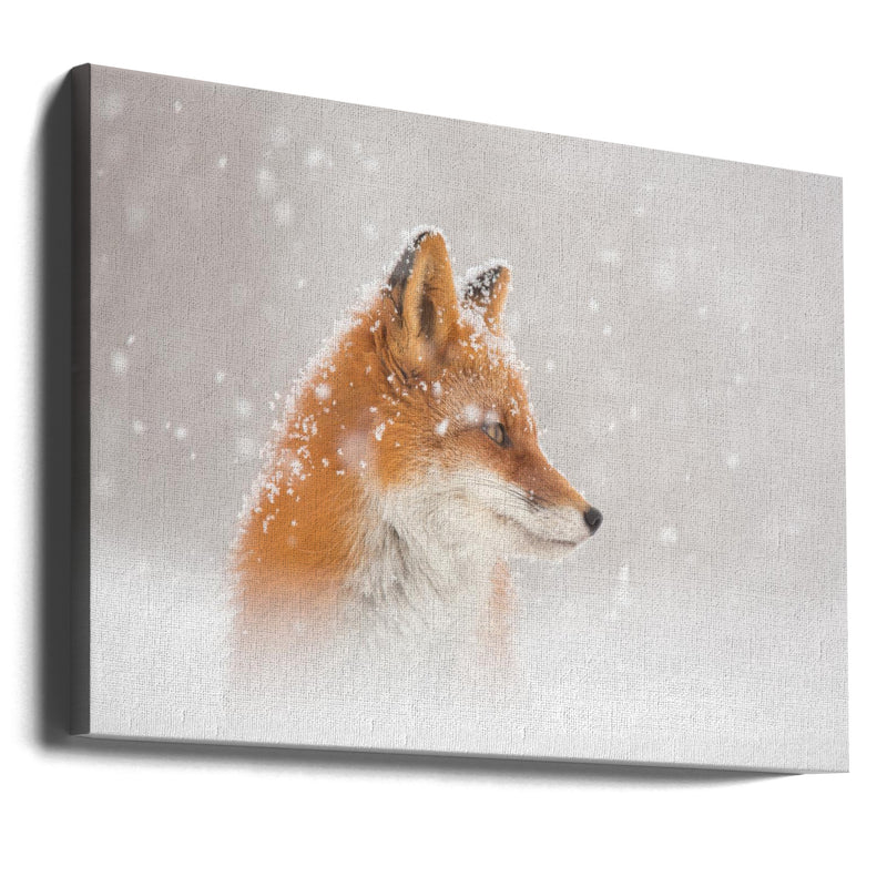 Snow is falling… - Stretched Canvas, Poster or Fine Art Print I Heart Wall Art