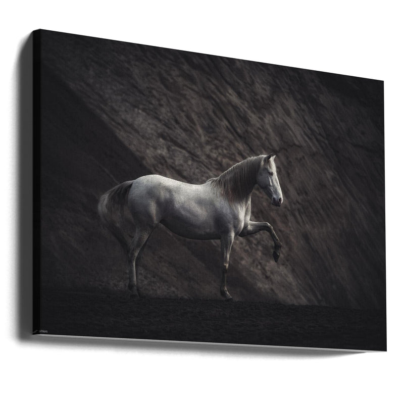 SOLITAIRE - Stretched Canvas, Poster or Fine Art Print I Heart Wall Art