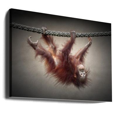 DON'T MURDER OUR PRIMEVAL FORESTS - Stretched Canvas, Poster or Fine Art Print I Heart Wall Art