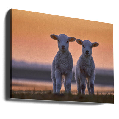 Lamb Twins - Stretched Canvas, Poster or Fine Art Print I Heart Wall Art