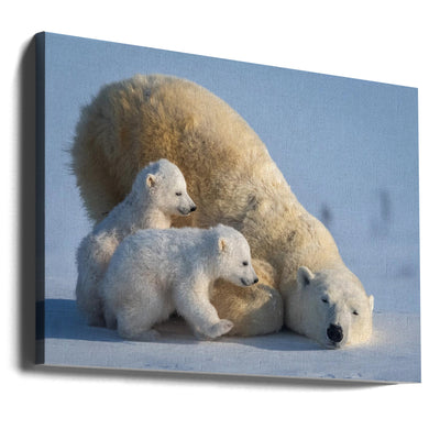 Mum, Play together - Stretched Canvas, Poster or Fine Art Print I Heart Wall Art