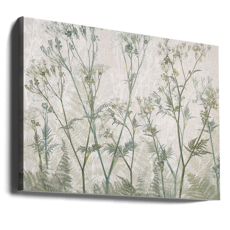 Cow parsley - Stretched Canvas, Poster or Fine Art Print I Heart Wall Art
