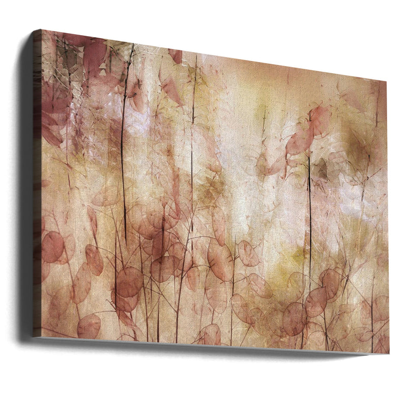 Seed pods - Stretched Canvas, Poster or Fine Art Print I Heart Wall Art