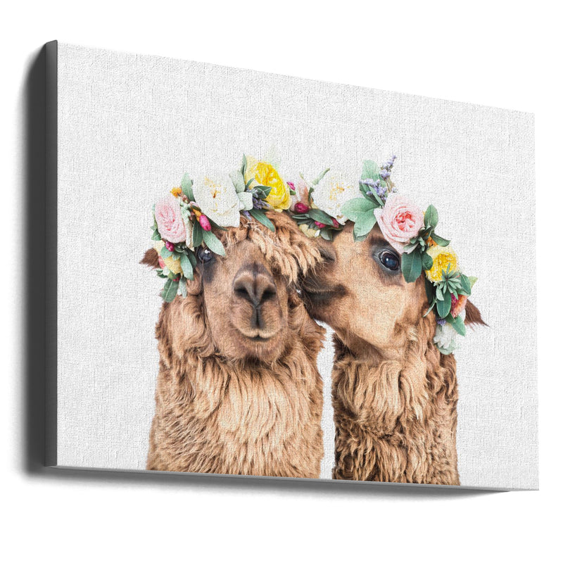 Boho Alpacas - Stretched Canvas, Poster or Fine Art Print I Heart Wall Art