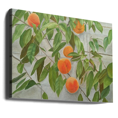 Peaches - Stretched Canvas, Poster or Fine Art Print I Heart Wall Art