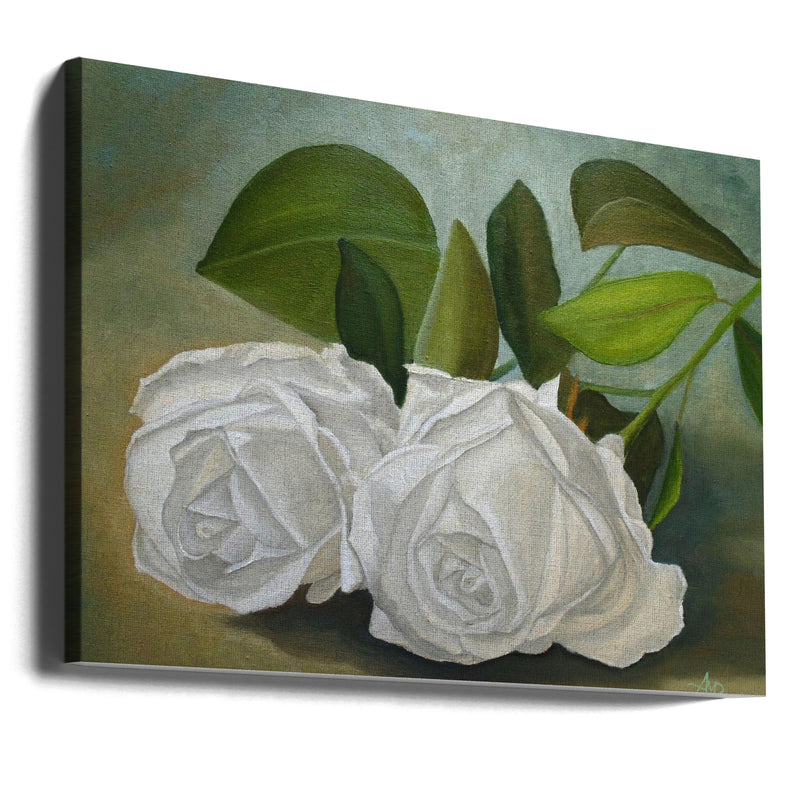 White Roses - Stretched Canvas, Poster or Fine Art Print I Heart Wall Art