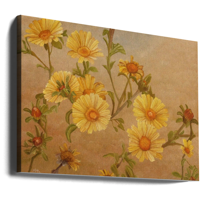 Yellow Daisies - Stretched Canvas, Poster or Fine Art Print I Heart Wall Art