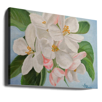 Apple Blossom - Stretched Canvas, Poster or Fine Art Print I Heart Wall Art