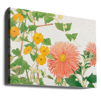 Thunbergia & Aster Flower No2 - Stretched Canvas, Poster or Fine Art Print I Heart Wall Art