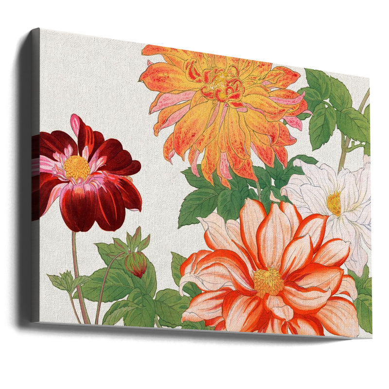 Dahlia Flower No.2 - Stretched Canvas, Poster or Fine Art Print I Heart Wall Art