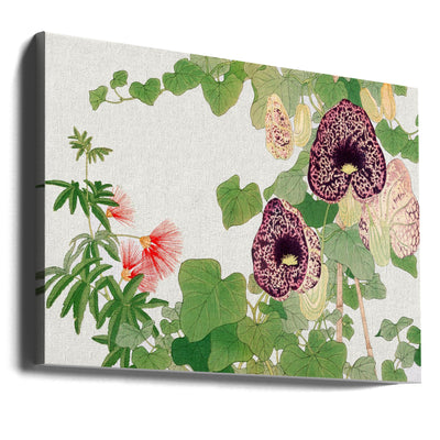 Albizia & Aristolochia Flower No.2 - Stretched Canvas, Poster or Fine Art Print I Heart Wall Art