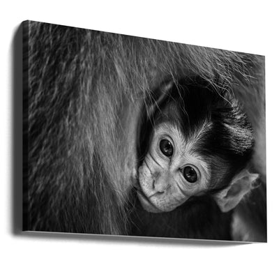 A Mother's Love - Stretched Canvas, Poster or Fine Art Print I Heart Wall Art