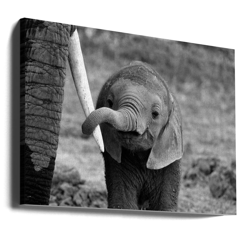 Close - Stretched Canvas, Poster or Fine Art Print I Heart Wall Art