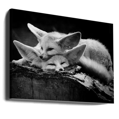 The happy couple - Stretched Canvas, Poster or Fine Art Print I Heart Wall Art