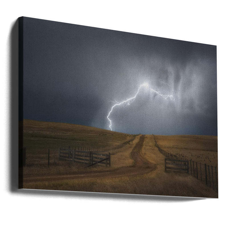 Midlands Mayhem - Stretched Canvas, Poster or Fine Art Print I Heart Wall Art