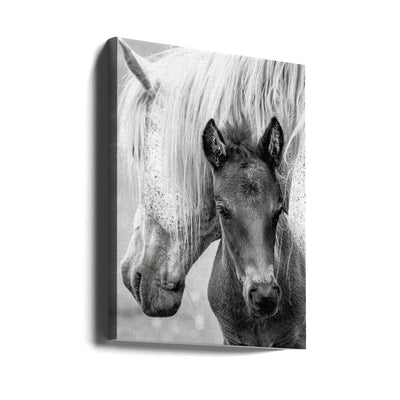 The Foal - Stretched Canvas, Poster or Fine Art Print I Heart Wall Art