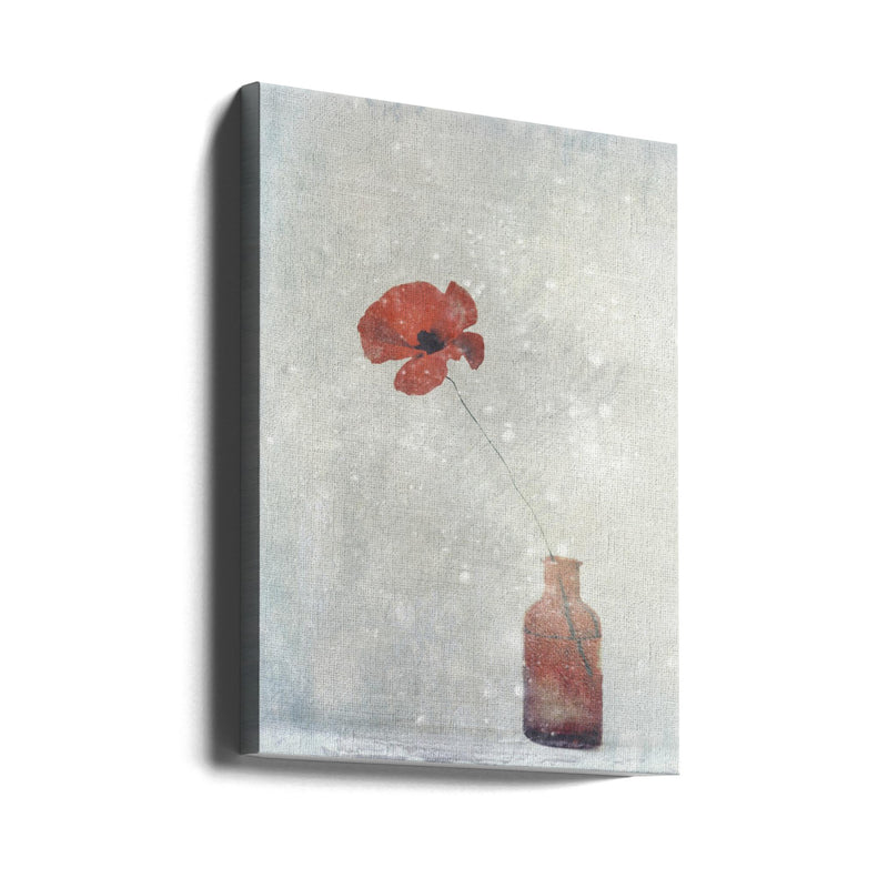 Winter Poppy - Stretched Canvas, Poster or Fine Art Print I Heart Wall Art