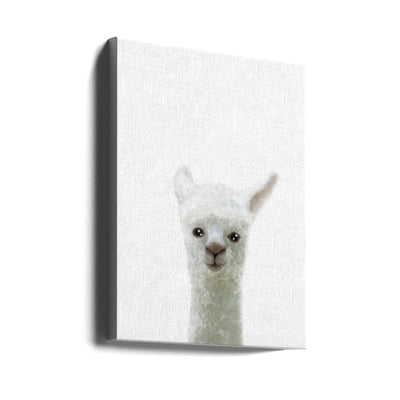 Llama - Stretched Canvas, Poster or Fine Art Print I Heart Wall Art