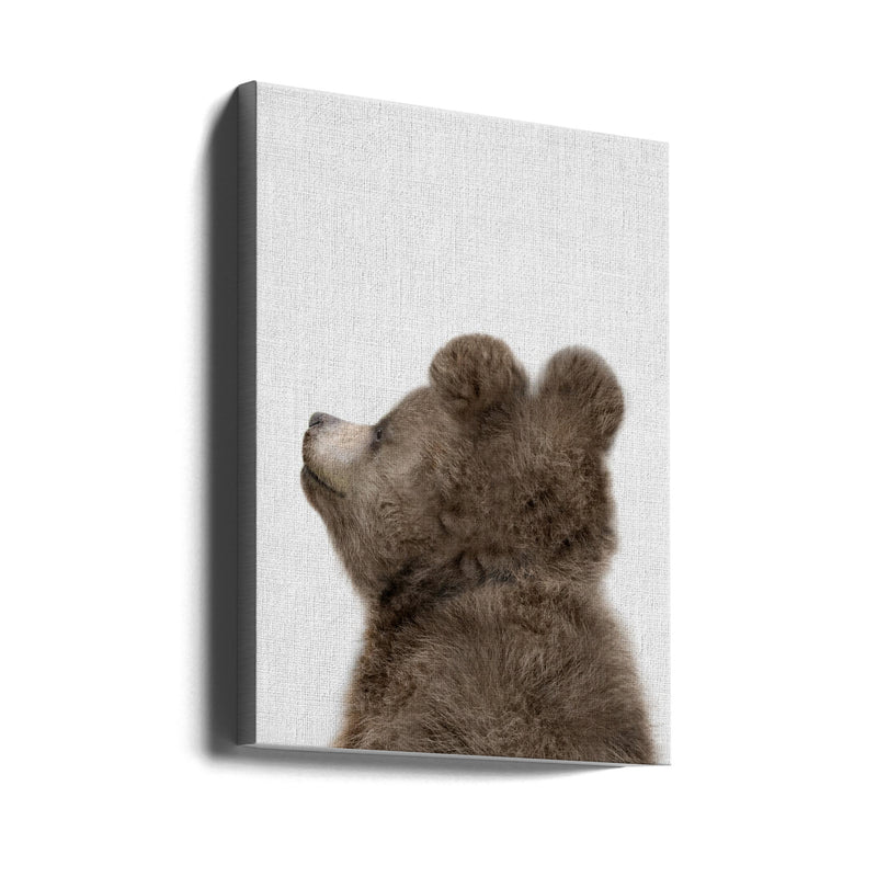 Peekaboo Baby Bear Back - Stretched Canvas, Poster or Fine Art Print I Heart Wall Art