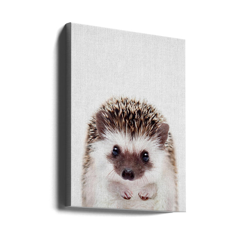 Peekaboo Hedgehog - Stretched Canvas, Poster or Fine Art Print I Heart Wall Art