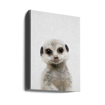 Peekaboo Baby Meerkat - Stretched Canvas, Poster or Fine Art Print I Heart Wall Art