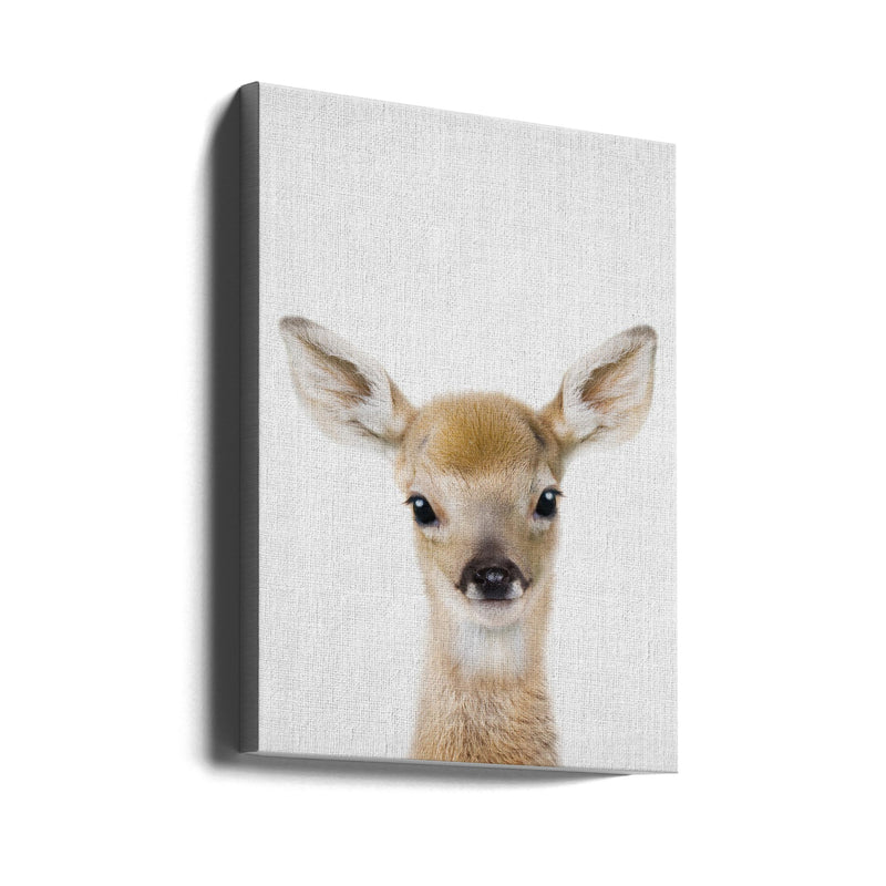 Peekaboo Baby Deer - Stretched Canvas, Poster or Fine Art Print I Heart Wall Art