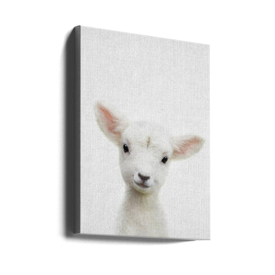 Peekaboo Baby Sheep - Stretched Canvas, Poster or Fine Art Print I Heart Wall Art