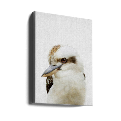 Peekaboo Kookaburra - Stretched Canvas, Poster or Fine Art Print I Heart Wall Art