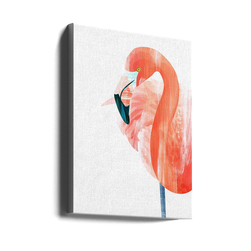 Pink Lady - Stretched Canvas, Poster or Fine Art Print I Heart Wall Art