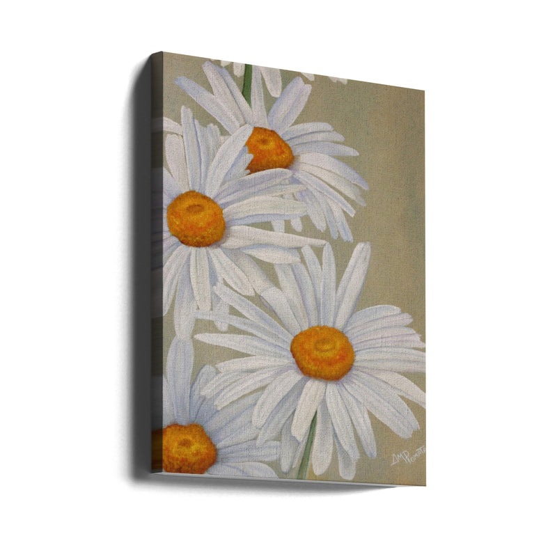 White Daisies - Stretched Canvas, Poster or Fine Art Print I Heart Wall Art