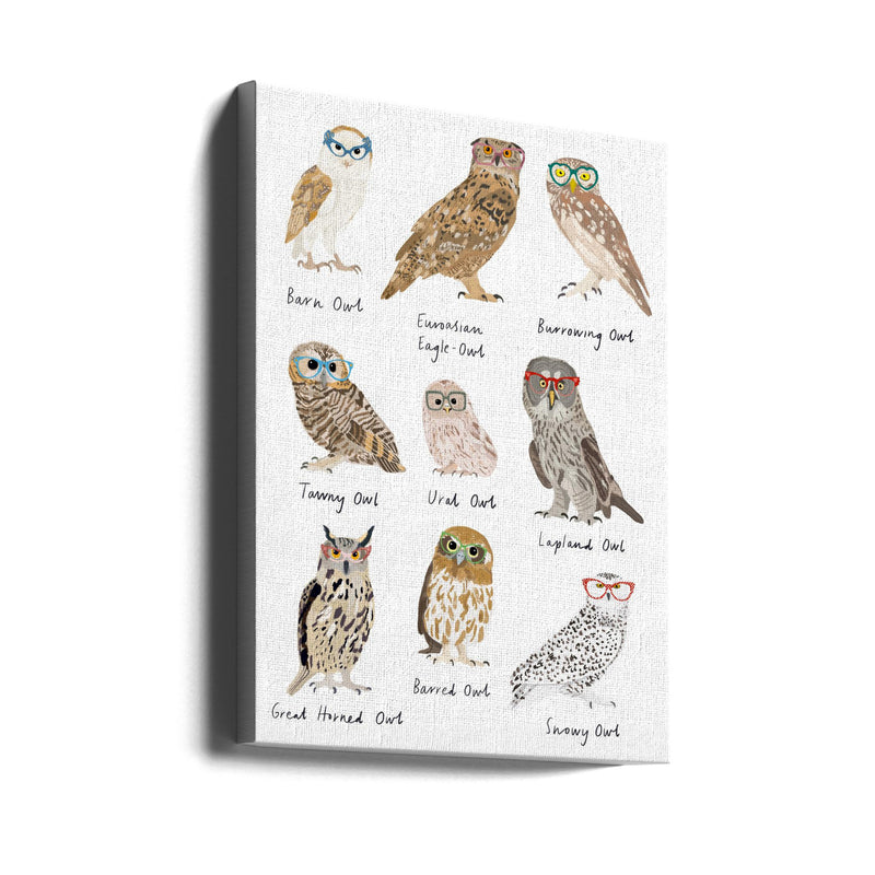 Owls In Glasses Print - Stretched Canvas, Poster or Fine Art Print I Heart Wall Art