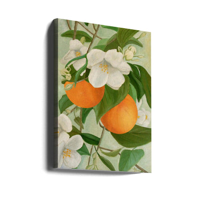 Branch of Orange Tree In Bloom - Stretched Canvas, Poster or Fine Art Print I Heart Wall Art