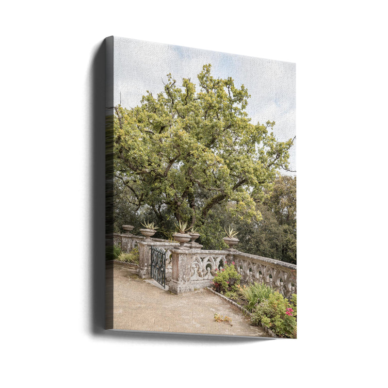 Botanical Garden - Stretched Canvas, Poster or Fine Art Print I Heart Wall Art