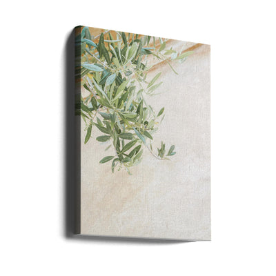 Olive Tree Leaves - Stretched Canvas, Poster or Fine Art Print I Heart Wall Art