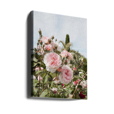 Garden Roses - Stretched Canvas, Poster or Fine Art Print I Heart Wall Art