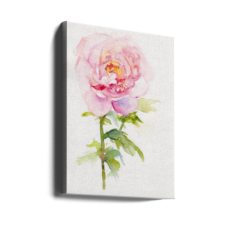 Peony November - Stretched Canvas, Poster or Fine Art Print I Heart Wall Art
