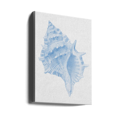 One Blue Conch - Stretched Canvas, Poster or Fine Art Print I Heart Wall Art